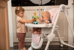 Bo Jungle B-Suction Toy Smart Owl Kinderstoel Speelgoed B910810 17 Bo Jungle B-Suction Toy Smart Owl Kinderstoel Speelgoed B910810 -Goedkope Babywinkel bo jungle b suction toy smart owl kinderstoel speelgoed b910810 7