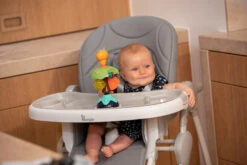 Bo Jungle B-Suction Toy Smart Owl Kinderstoel Speelgoed B910810 18 Bo Jungle B-Suction Toy Smart Owl Kinderstoel Speelgoed B910810 -Goedkope Babywinkel bo jungle b suction toy smart owl kinderstoel speelgoed b910810 8