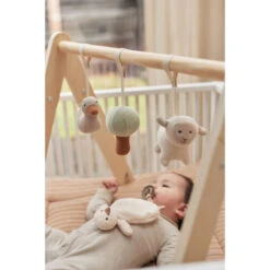 Jollein Lamb Speeltjes Voor Babygym 108-001-67009 -Goedkope Babywinkel jollein lamb speeltjes voor babygym 108 001 67009 .6