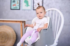 Lorelli Trick Pink Bears 3-in-1 Kinderstoel 1010049-2133 -Goedkope Babywinkel lorelli trick grey candy 3 in 1 kinderstoel 1010049 2137.6 1920x1920 2