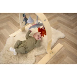 Tryco Houten Babygym TR-303011 -Goedkope Babywinkel mamaloes tryco babygym 01 1