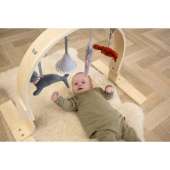 Tryco Houten Babygym TR-303011 -Goedkope Babywinkel mamaloes tryco babygym 02 1