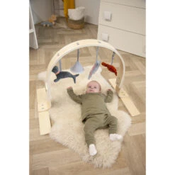 Tryco Houten Babygym TR-303011 -Goedkope Babywinkel mamaloes tryco babygym 03 1